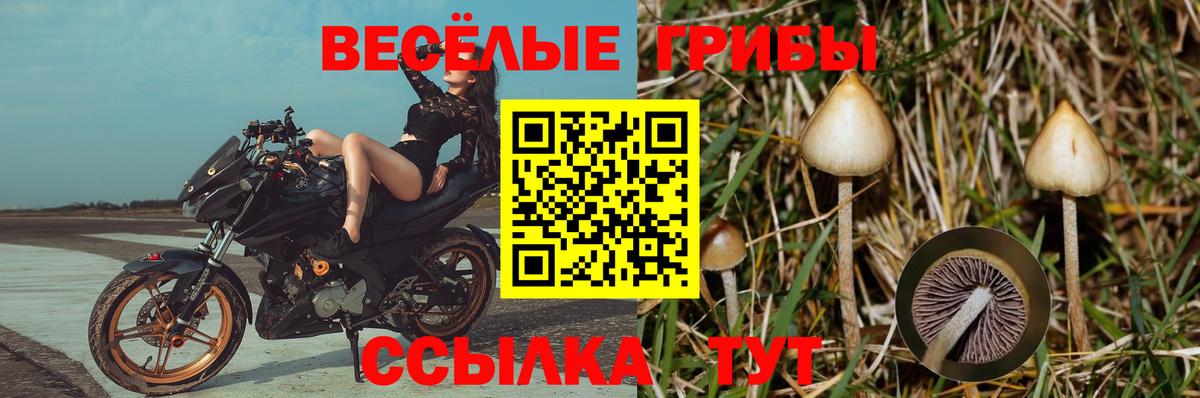 Галлюциногенные грибы мухоморы  Псилоцибиновые грибы MAGIC MUSHROOMS  Зима  Вход с VPN 