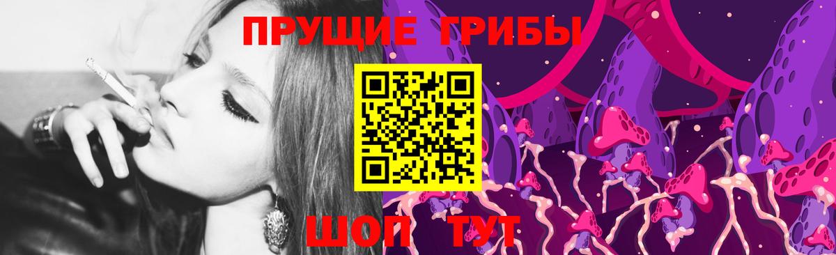 Псилоцибиновые грибы Psilocybe Зима